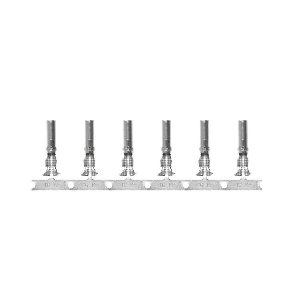 Pacer DTP Deutsch Socket f/10 AWG Wire - Size 12 Contact (25 Pack) [T10DTP-S-25]